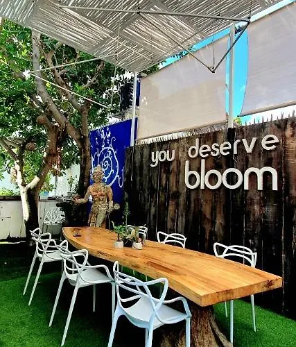 Bloom! Exclusive Boutique (adults Only) Hotel Playa del Carmen