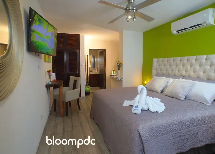 Hotel Bloom! Exclusive Boutique (adults Only) Playa del Carmen