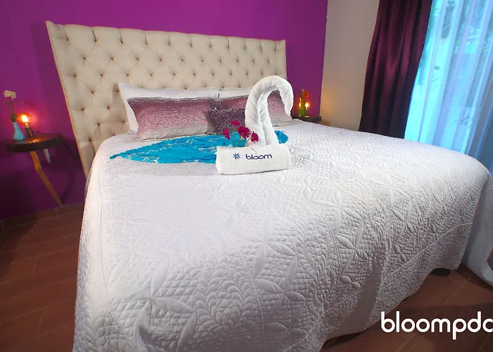 Bloom! Exclusive Boutique (adults Only)