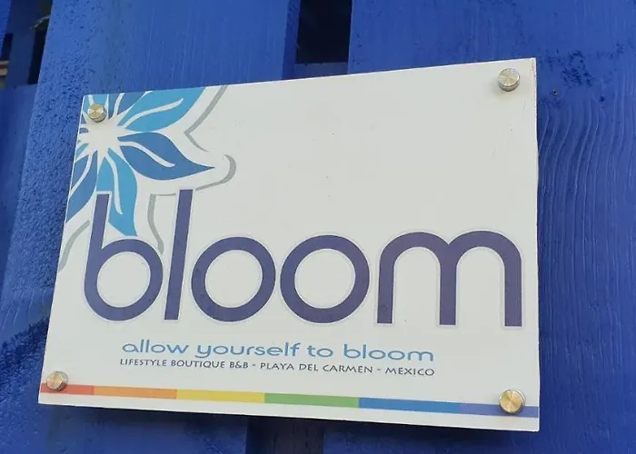 Bloom! Exclusive Boutique (adults Only) Hotel Playa del Carmen